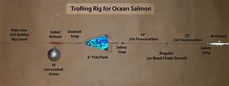 Image result for Salmon Snubber Rig