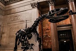 Image result for Night at the Museum Don