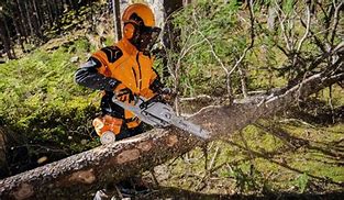 Image result for Stihl Chainsaws for Sale MS 291