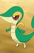 Image result for Snivy Anime