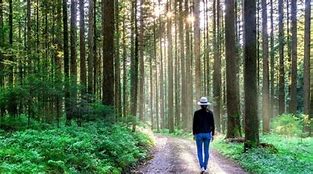 Image result for People Walking in a Nature Reserve