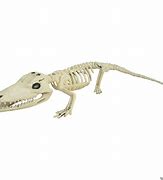 Image result for Halloween Gator