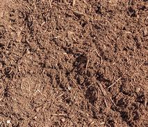 Image result for Tree Bark Mulch