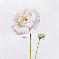 Image result for Korean Flower Drawing