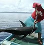 Image result for Tuna Breeds