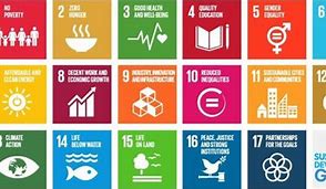 Image result for UN PRI ESG Goals