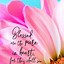 Image result for Black Wallpaper with Bible Verses