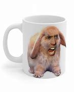 Image result for Nicolas Cage Bunny Meme