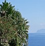 Image result for Lipari Museum