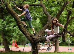 Image result for Kids Playing at Creche