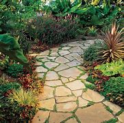 Image result for Sreep Stepping Stone Path