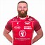 Image result for James Davies Rugby Scarlets PNG