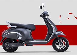 Image result for EV Scooty Entero