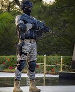 Image result for Marcos Commander