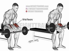 Image result for Best Forearm Exercises for Men