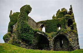 Image result for Overgrown Castle Ruins