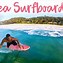 Image result for Odysea Boogie Boards