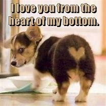 Image result for I Love You Dog Meme