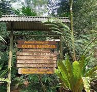 Image result for Curug Ratu Bogor