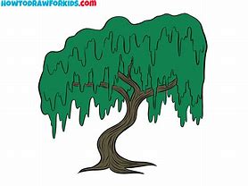 Image result for Willow Tree Drawing