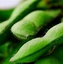 Image result for Edamame Pics