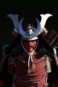 Image result for Shogun Samurai Armor