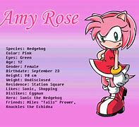 Image result for Amy Rose Sonic Adventure Meme