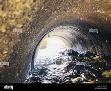 Image result for Deep Sewer Inside