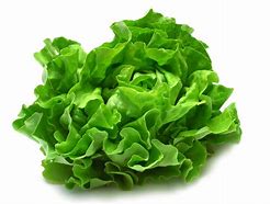 Image result for Lettuce Leaf Shape