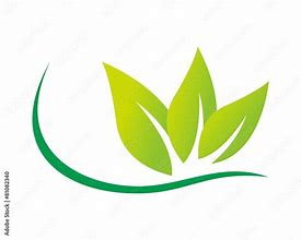 Image result for Act Leaf Logo