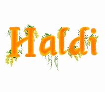 Image result for Haldi Vector Png