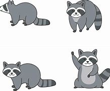 Image result for Raccoon Cue