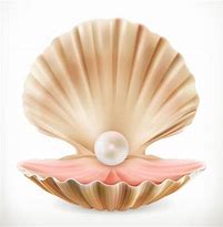 Image result for Purple Clam Shell Clip Art