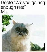 Image result for Uhh Cat Meme