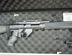 Image result for Palma Match Rifle