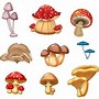 Image result for Cute Cartoon Mushroom