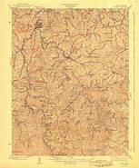 Image result for Wayne County WV Outline Map