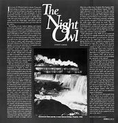 Image result for Night Owl Osa