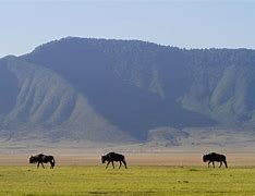 Image result for Nature Reserve Area