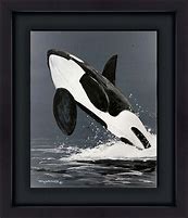 Image result for Orca Art