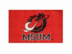 Image result for MSUM Dragons