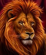 Image result for Lion Skin Crystal