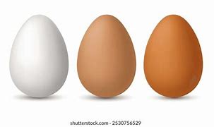 Image result for Imagenes De Huevos