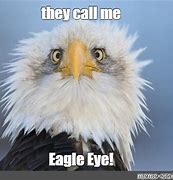 Image result for Eagle Eye Funny Meme