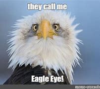 Image result for Eagle Eye Meme