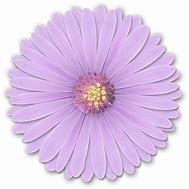 Image result for Purple Flower Clip Art No Background