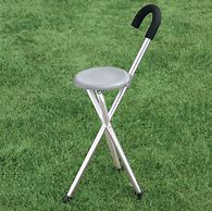 Image result for One-Legged Seat Cane