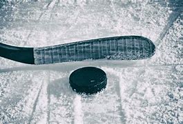 Image result for Ice Hockey Stick