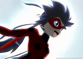 Image result for Ladybug PV Felix