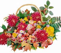 Image result for Bouquet 4K